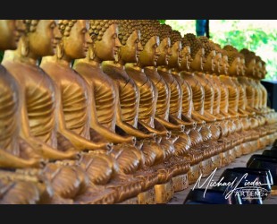 Buddha in Reihe